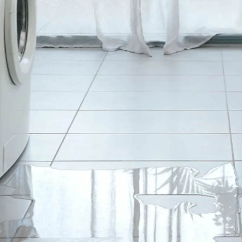 Appliance Leak Cleanup in Kenansville, NC