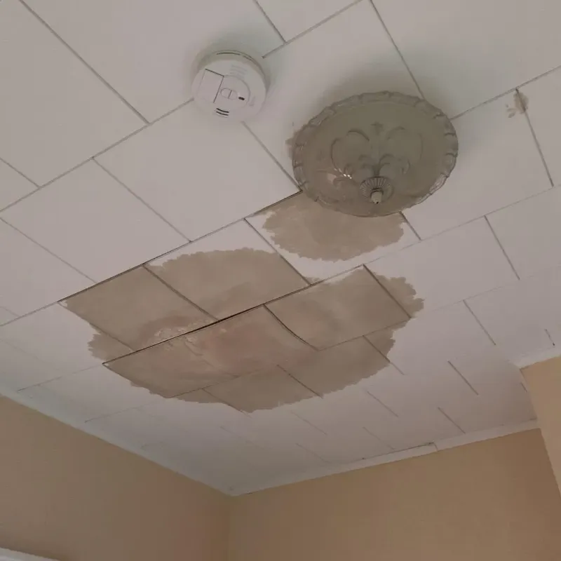 Ceiling Water Damage Repair in Kenansville, NC