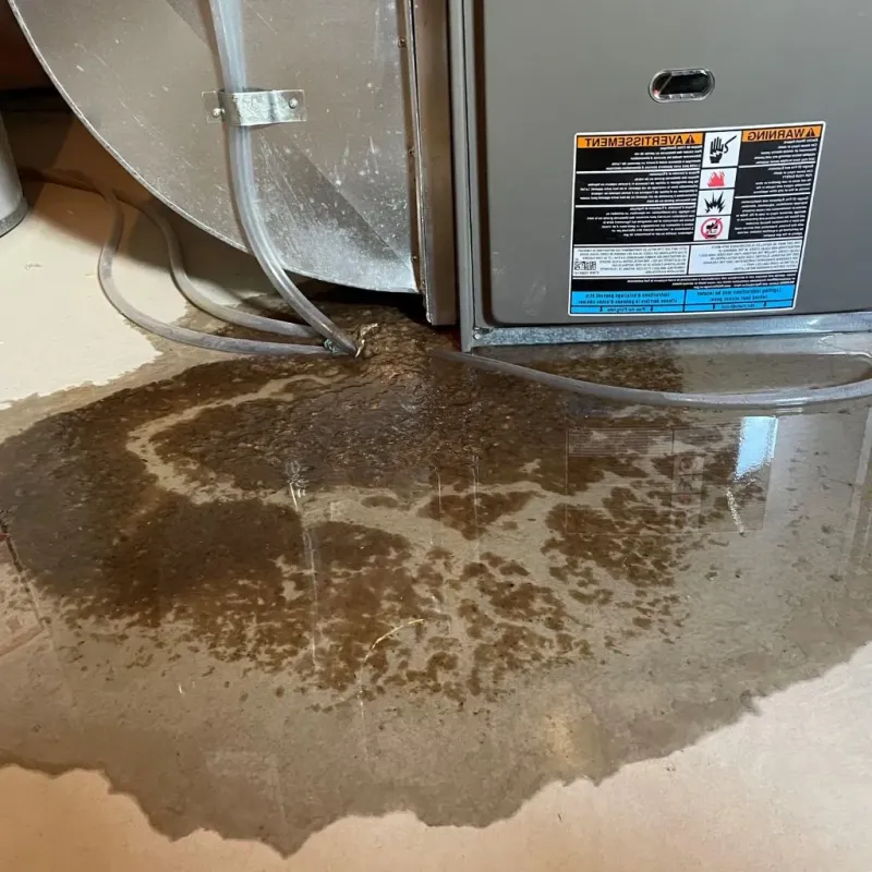Pipe Burst and Leak Restoration in Kenansville, NC