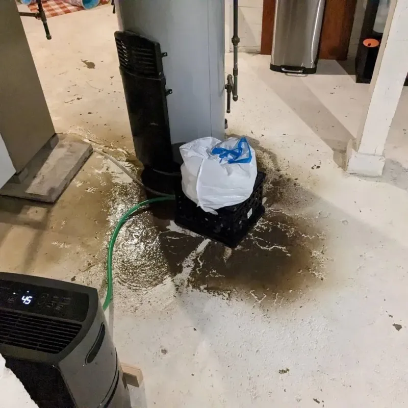 Sewage Backup Cleanup Service in Kenansville, NC